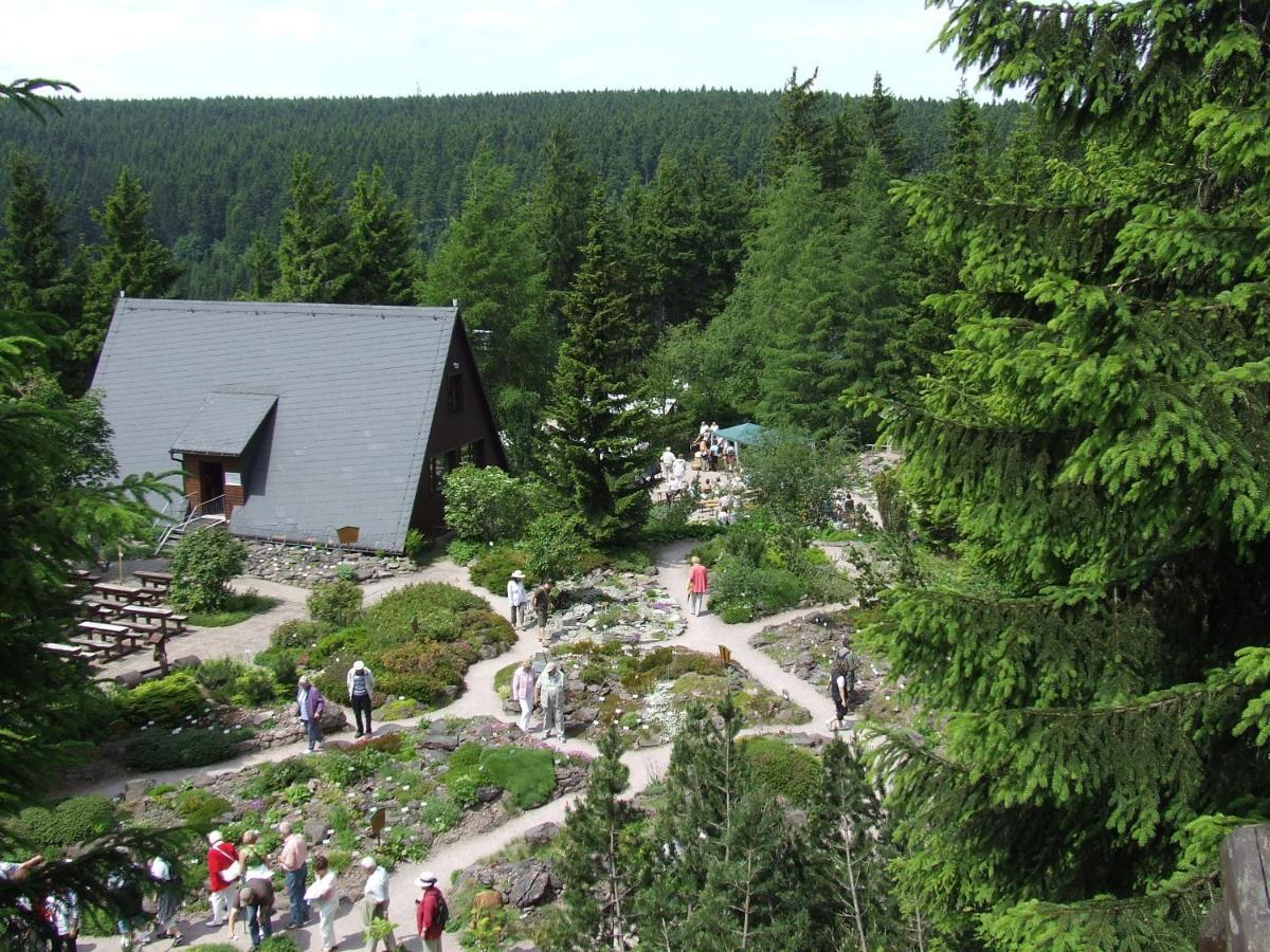 Konsum Gaestehaus Quisisana - Oberhof Oberhof  Kültér fotó